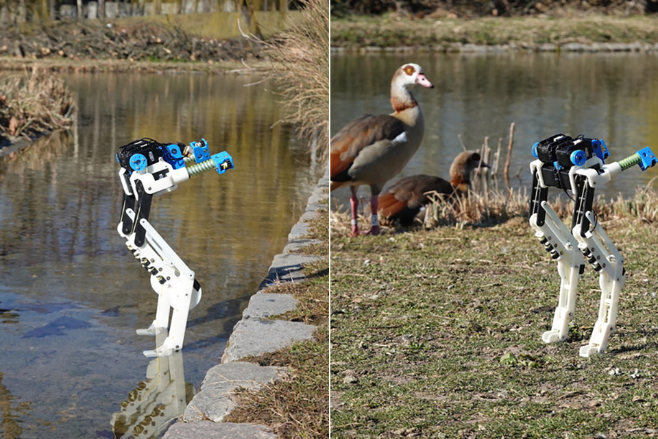 max-planck-institute-birdbot-bird-robot.jpg