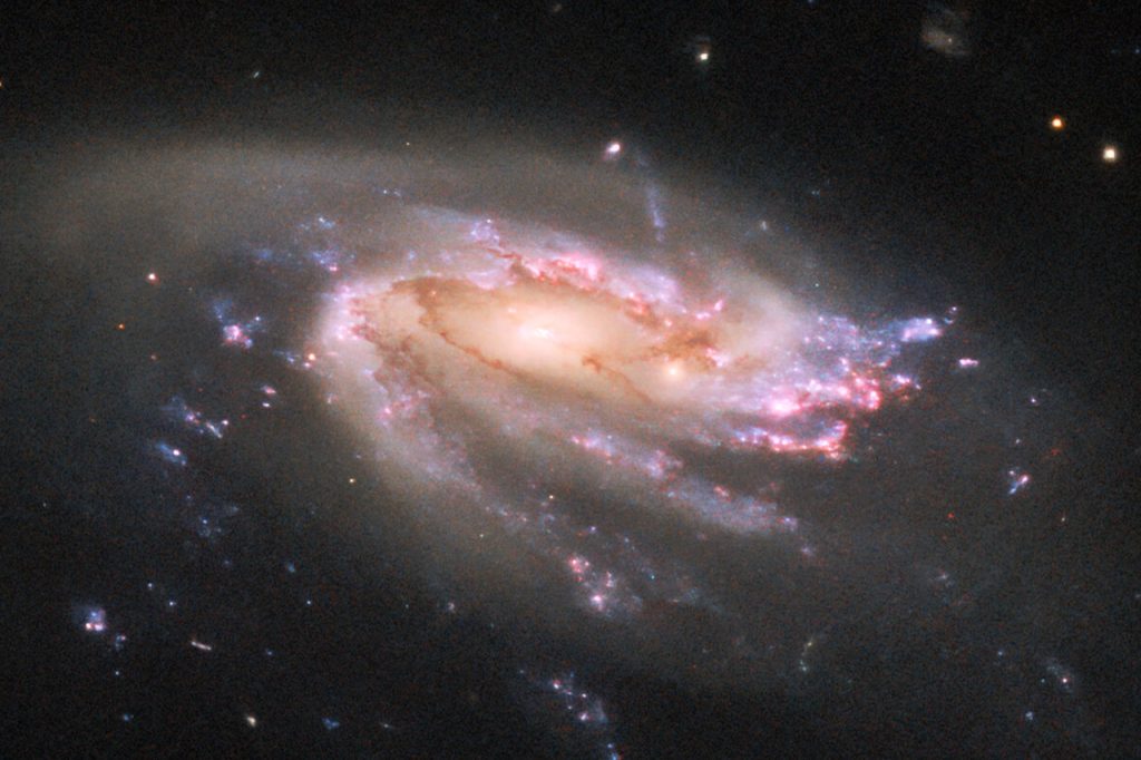 hubble-space-telescope-galactic-sea-creature-jo206.jpg